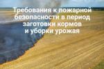 Фотодокумент 