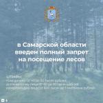 Фотодокумент 